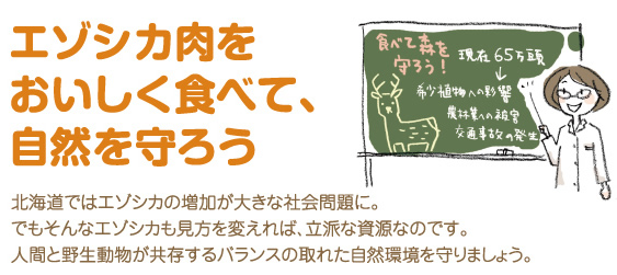 エゾシカ肉をおいしく食べて、自然を守ろう。北海道ではエゾシカの増加が大きな社会問題に。でもそんなエゾシカも見方を変えれば、立派な資源なのです。北海道ならではの「森の幸」をおいしくいただきましょう。食べることは守ること。人間と野生動物が共存するバランスの取れた自然環境を守りましょう。