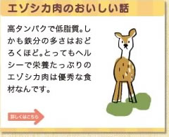 エゾシカ肉のおいしい話　高タンパクで低脂質。しかも鉄分の多さはおどろくほど。とってもヘルシーで栄養たっぷりのエゾシカ肉は優秀な食材なんです。