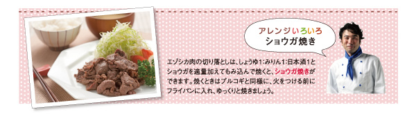 アレンジいろいろショウガ焼き。エゾシカ肉の切り落としは、しょうゆ1:みりん1:日本酒1とショウガを適量加えてもみ込んで焼くと、ショウガ焼きができます。焼くときはプルコギと同様に、火をつける前にフライパンに入れ、ゆっくりと焼きましょう。